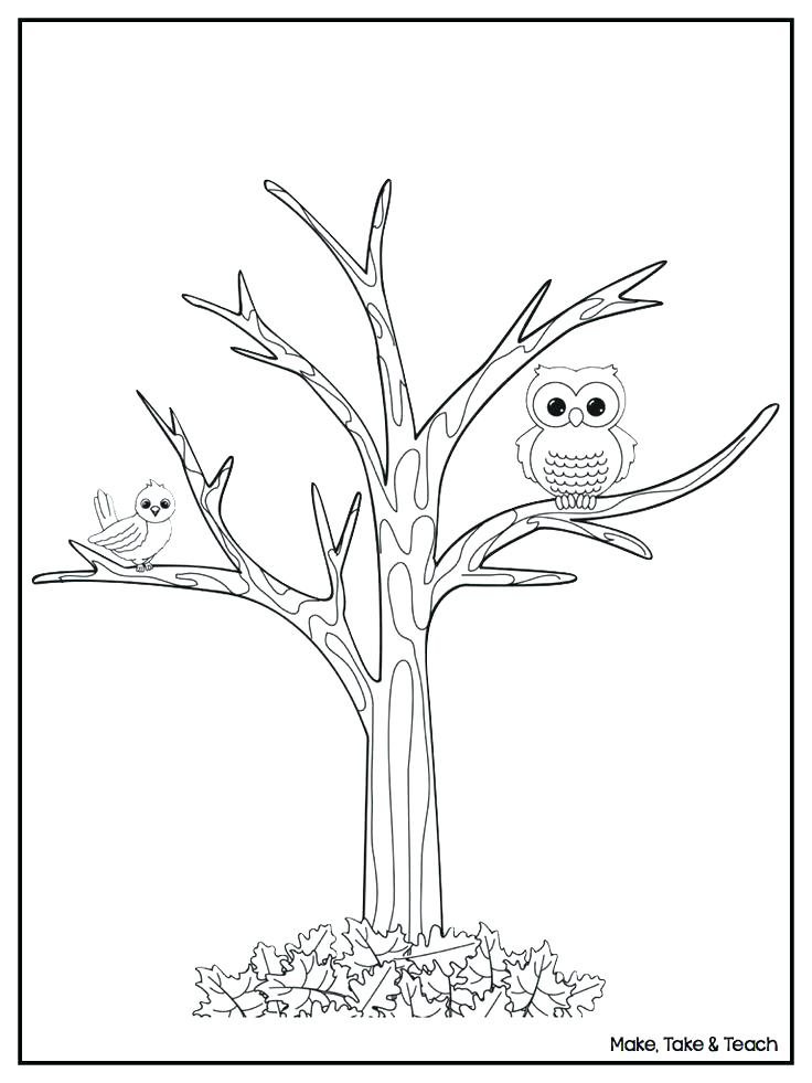 736x981 Fall Tree Coloring Page Leaf Fall Tree Coloring Pages Trees Latest