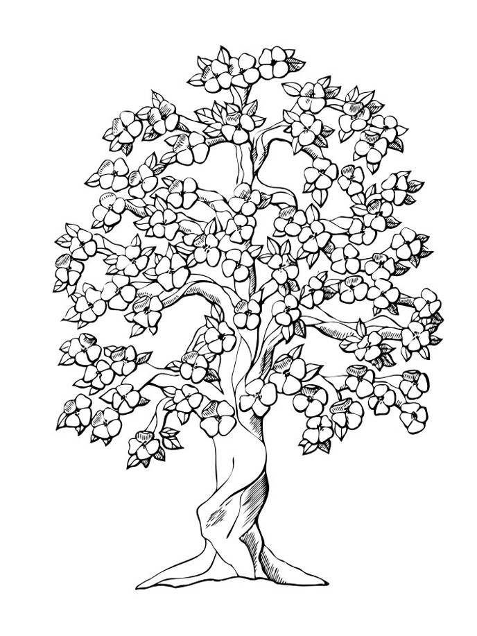 688x917 Projects Inspiration Coloring Page Of A Tree Fall Trees Coloring
