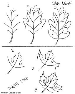 255x320 How To Draw Maple Leafndn Oak Leaf Inkspired Musings