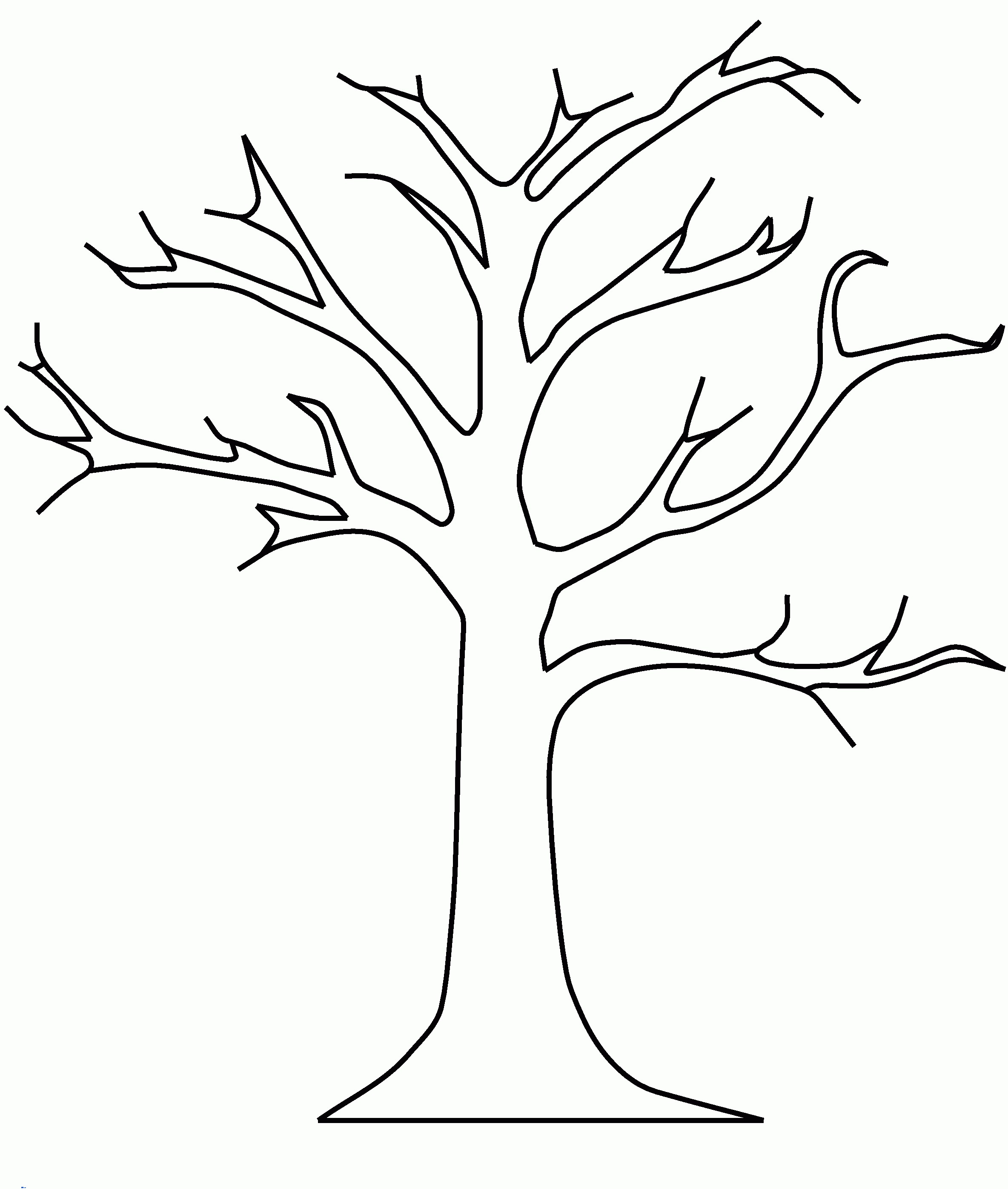 2368x2794 Coloring Pages For Fall Trees Fresh Simple Tree Coloring Pages