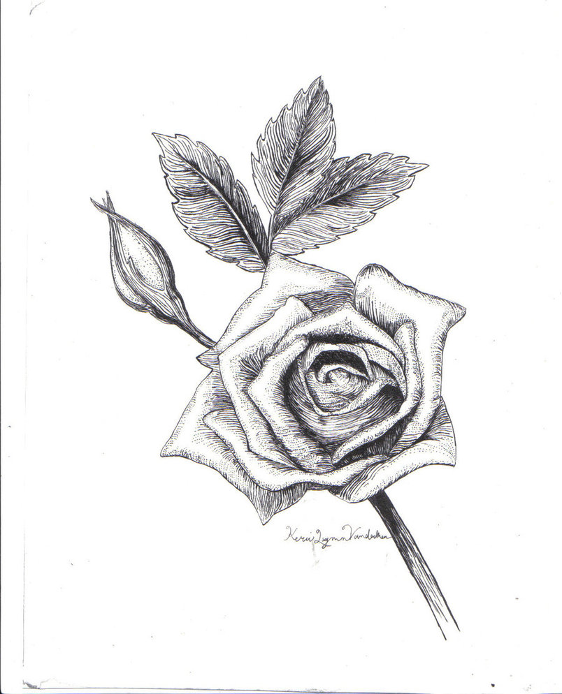 804x994 Falling Roses By Ladykylin