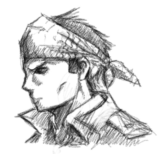 529x500 Bandit Sketch By Falling Card