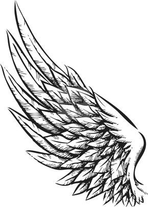 290x405 Eagle Wings Drawings Wings (Hand Drawn Vector Illustration