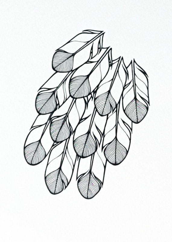 570x800 Stylised Feathers Illustration