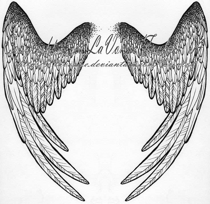 736x716 481 Best Wings And Feathers Images On Feathers