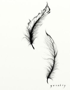 236x301 Art Feather Tattoo Sketch By