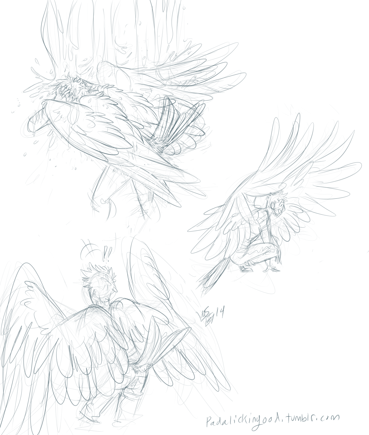 1280x1510 For Feathers Great And Small Wing Stuff Feathers