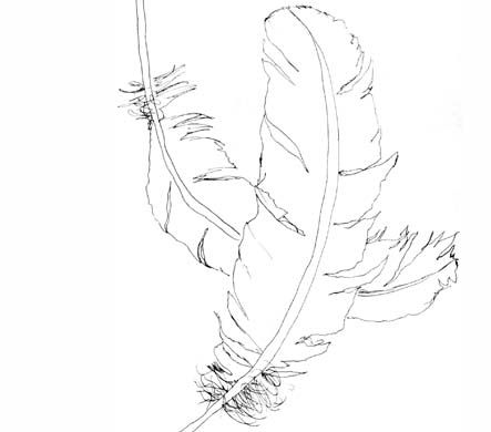 443x390 Watercolor Bird Feathers