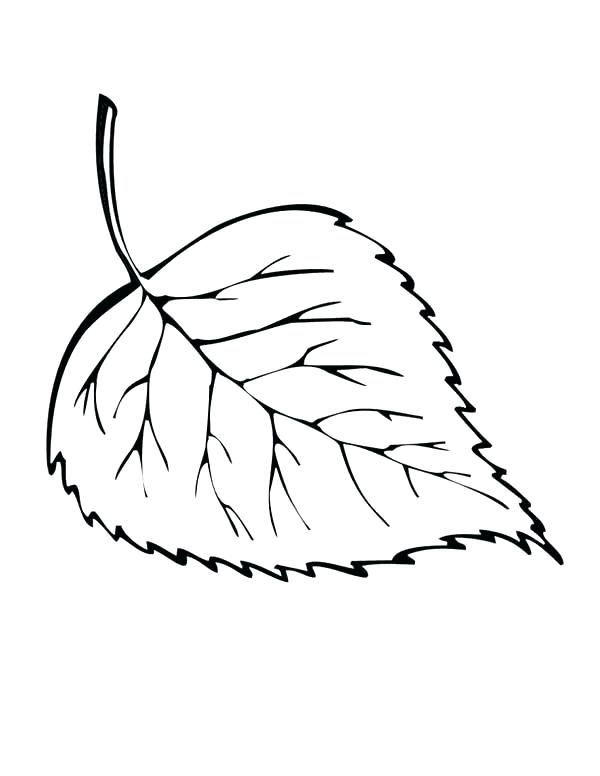600x776 Fall Leaf Coloring Page Leaf Printable Coloring Pages Small Leaves