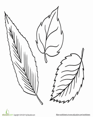 301x378 Fall Leaves Worksheet