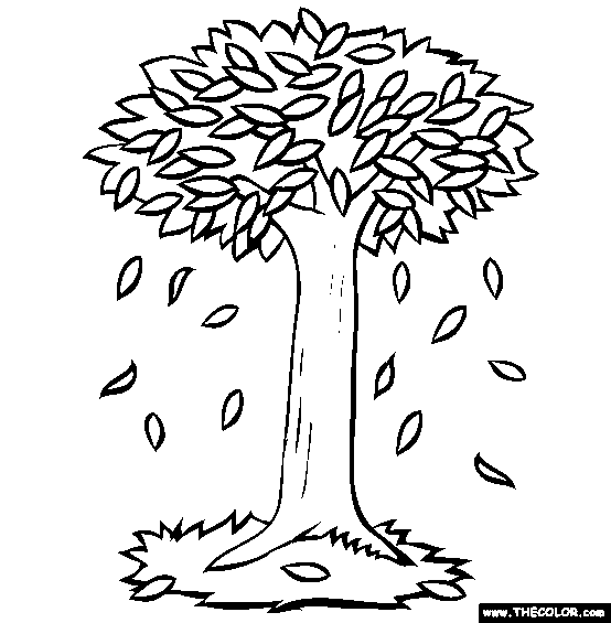 554x565 Fall Online Coloring Pages Page 1