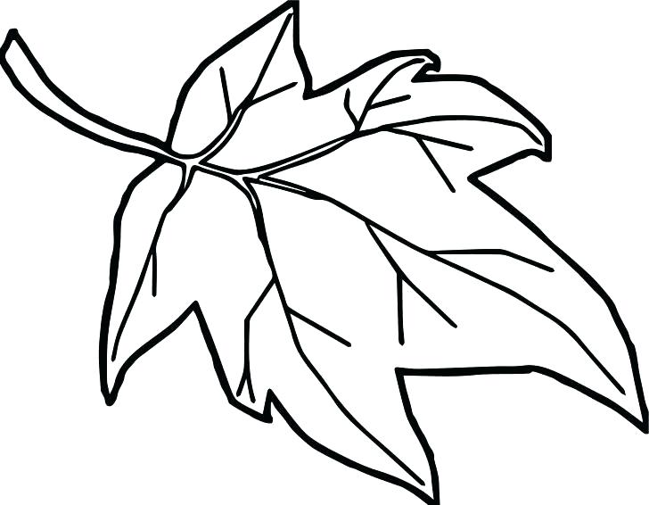 728x566 Fall Leaf Coloring Page Fall Leaves Coloring Pages Picture Small