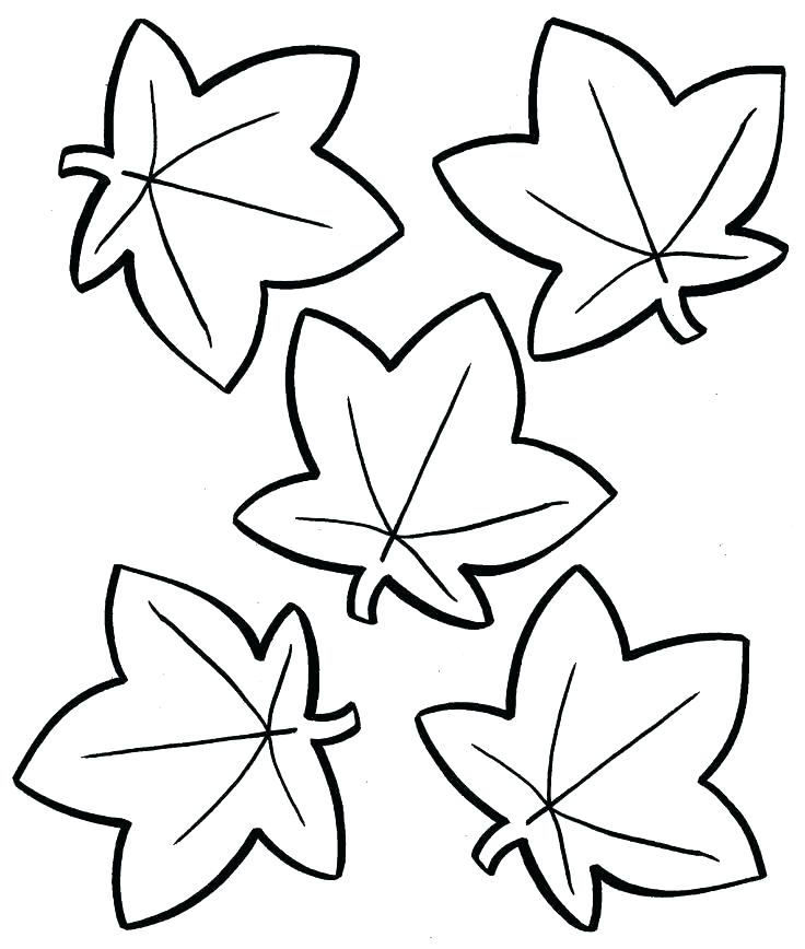 736x868 Leaf Coloring Pages Printable Fall Leaves Coloring Page Free