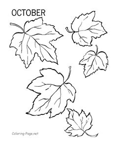 236x288 Leaf Printable Coloring Pages Leaves, Fall Leaves And Template