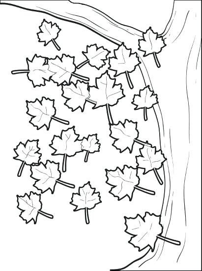 411x550 Fall Leaf Coloring Pages