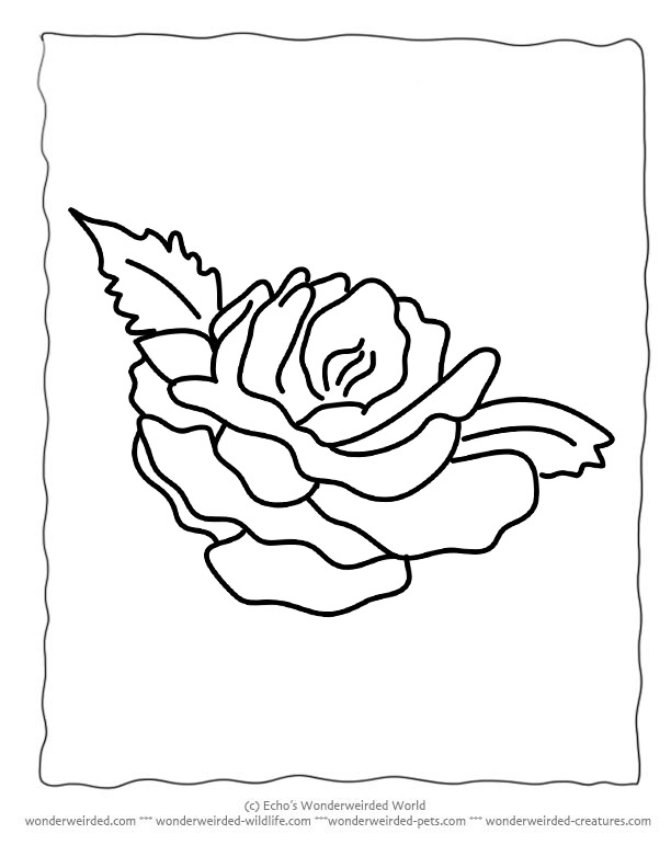 612x792 Flower Coloring Sheets Rose @ Wonderweirded , Free