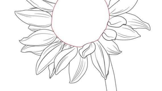 570x320 How To Draw Flower Petals Drawing A Daisy With Falling Petals
