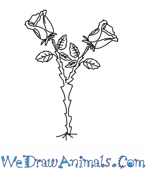 Falling Rose Petals Drawing at GetDrawings | Free download