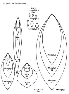 236x321 6 Best Images Of Paper Printable Leaf Patterns