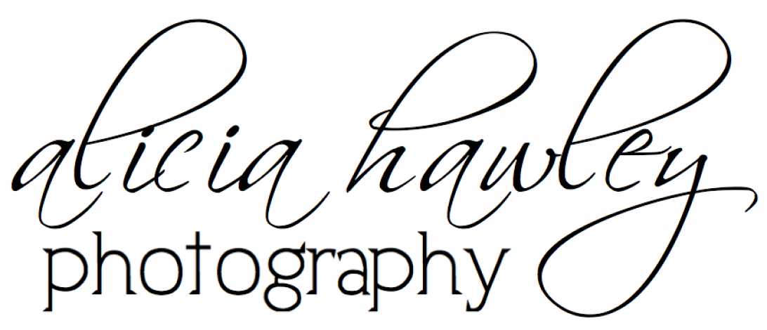 1092x470 Falling Snow