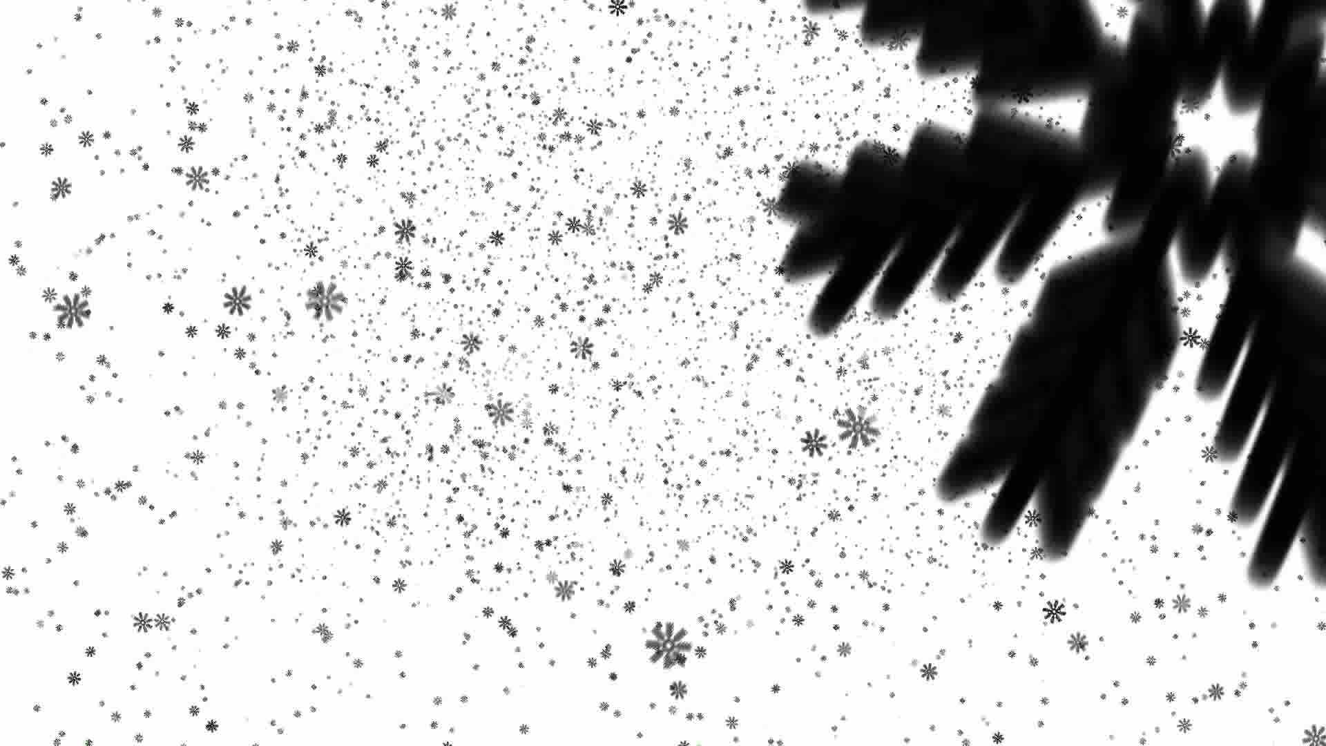 1920x1080 Black Snow On White Background, Loop Royalty Free Video And Stock