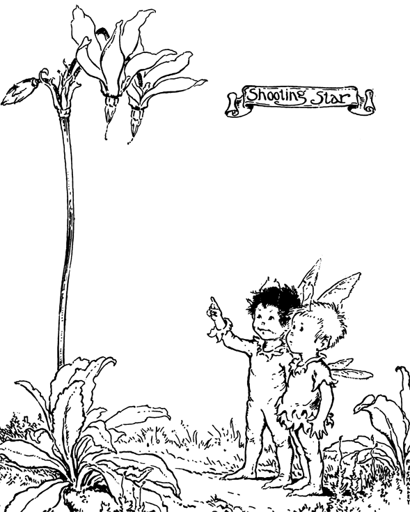 589x734 Fairy Boys Looking Up