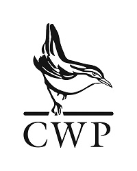 200x250 A Falling Star By Chantel Acevedo Latino Book Club