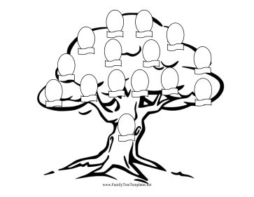 363x281 12 Best Family Tree Images On Family Tree Chart