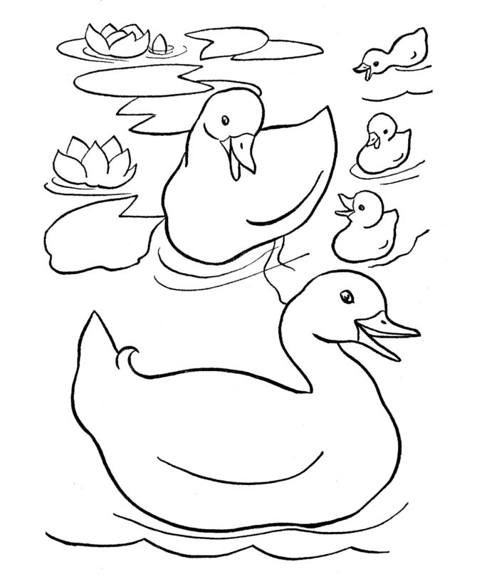 670x820 Drawn Duckling Family Drawing