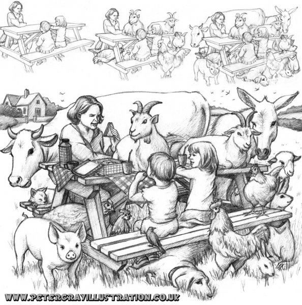 594x600 How To Draw Peter Gray Illustration