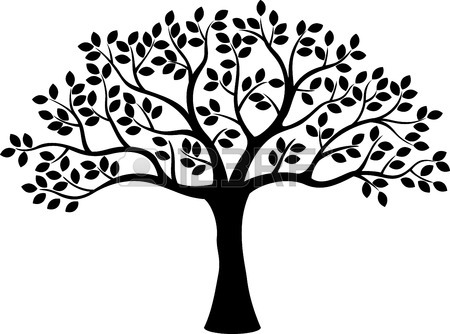 450x334 Family Tree Stock Photos. Royalty Free Business Images