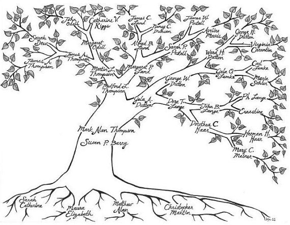 570x442 Hand Drawn Family Tree Gift Ideas Family Trees