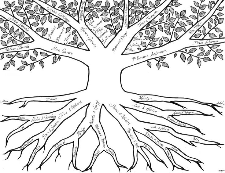 Family Tree Drawing at GetDrawings | Free download