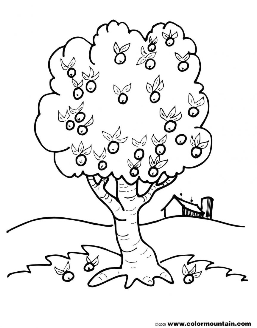 863x1100 Coloring Pages Of Apple Trees Page Simple Family Tree Template Ks1