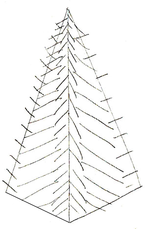300x468 How To Draw A Christmas Tree