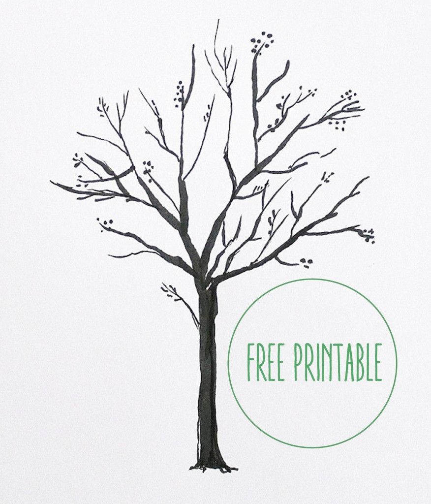 876x1024 Free Printable! Blank Family Tree, Family Trees And Free Printable