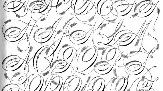 570x320 Drawings Of Fancy Letters