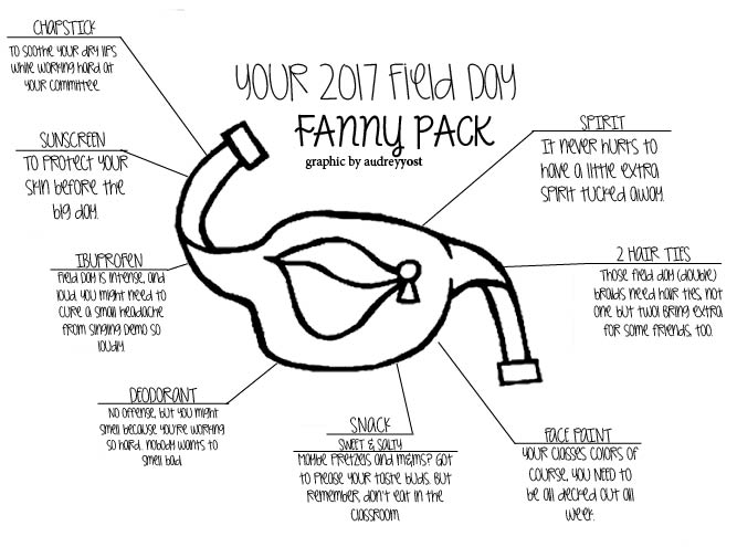 667x495 Your 2017 Field Day Fanny Pack The Network