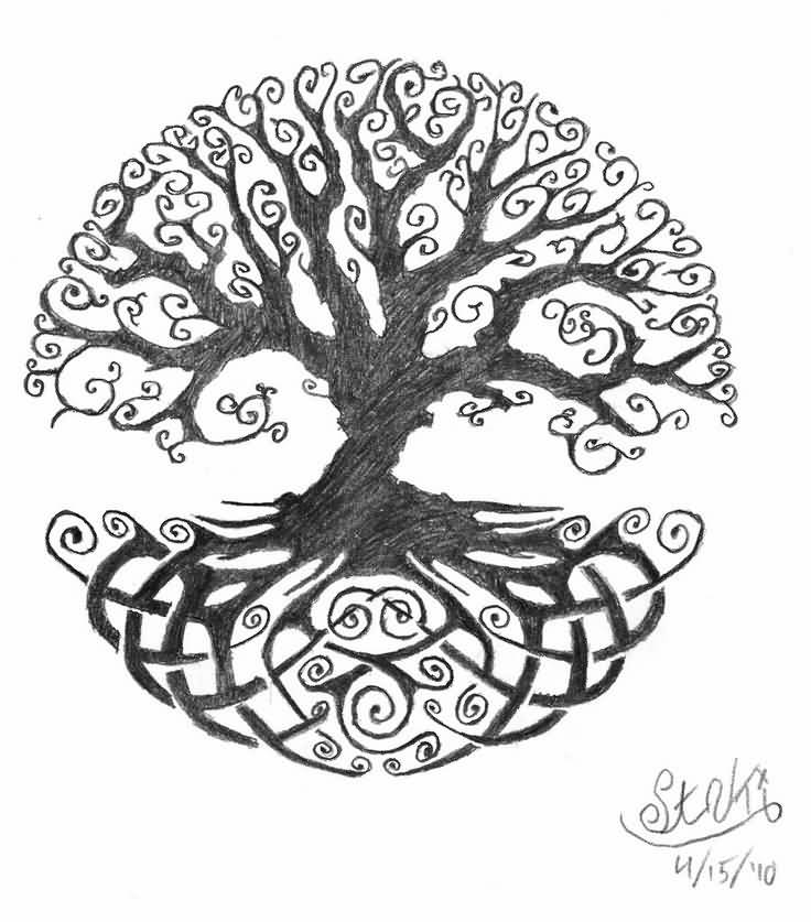 736x837 Nice Sketches Tree Of Life Tattoos Drawings