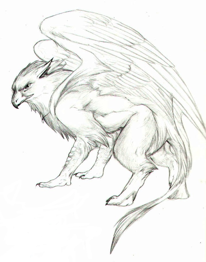 718x914 Gryphon Sketch Mystery Sketches, Creatures