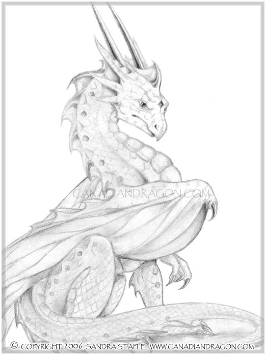 522x697 Canadian Dragon Fantasy Art Original Pencil Dragon Drawing, Pride