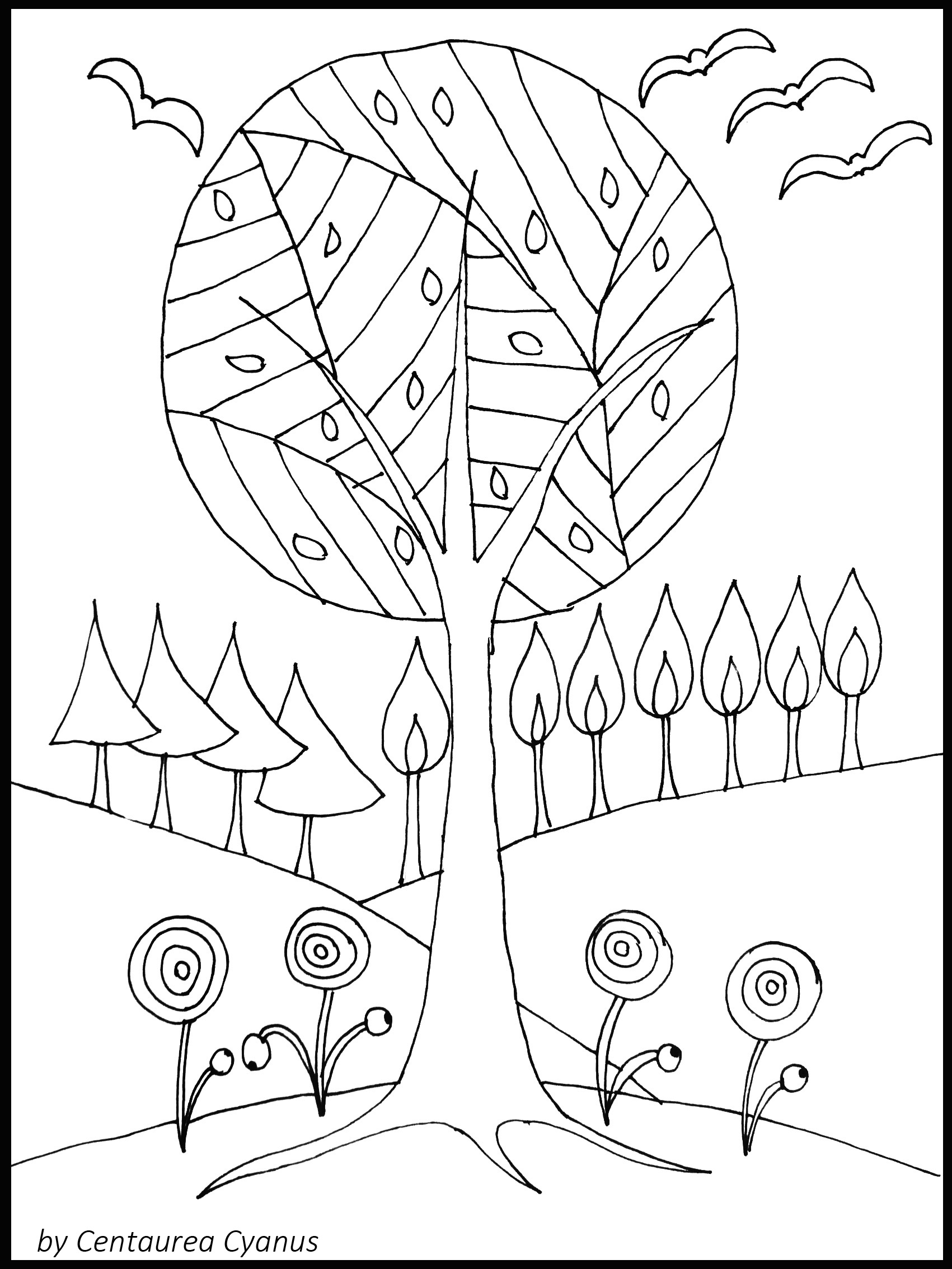 1701x2268 Free Coloring Page By Centaurea Cyanus