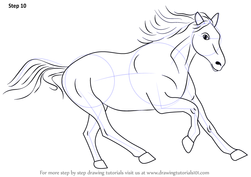 844x598 Learn How To Draw A Cleveland Bay Horse (Farm Animals) Step By