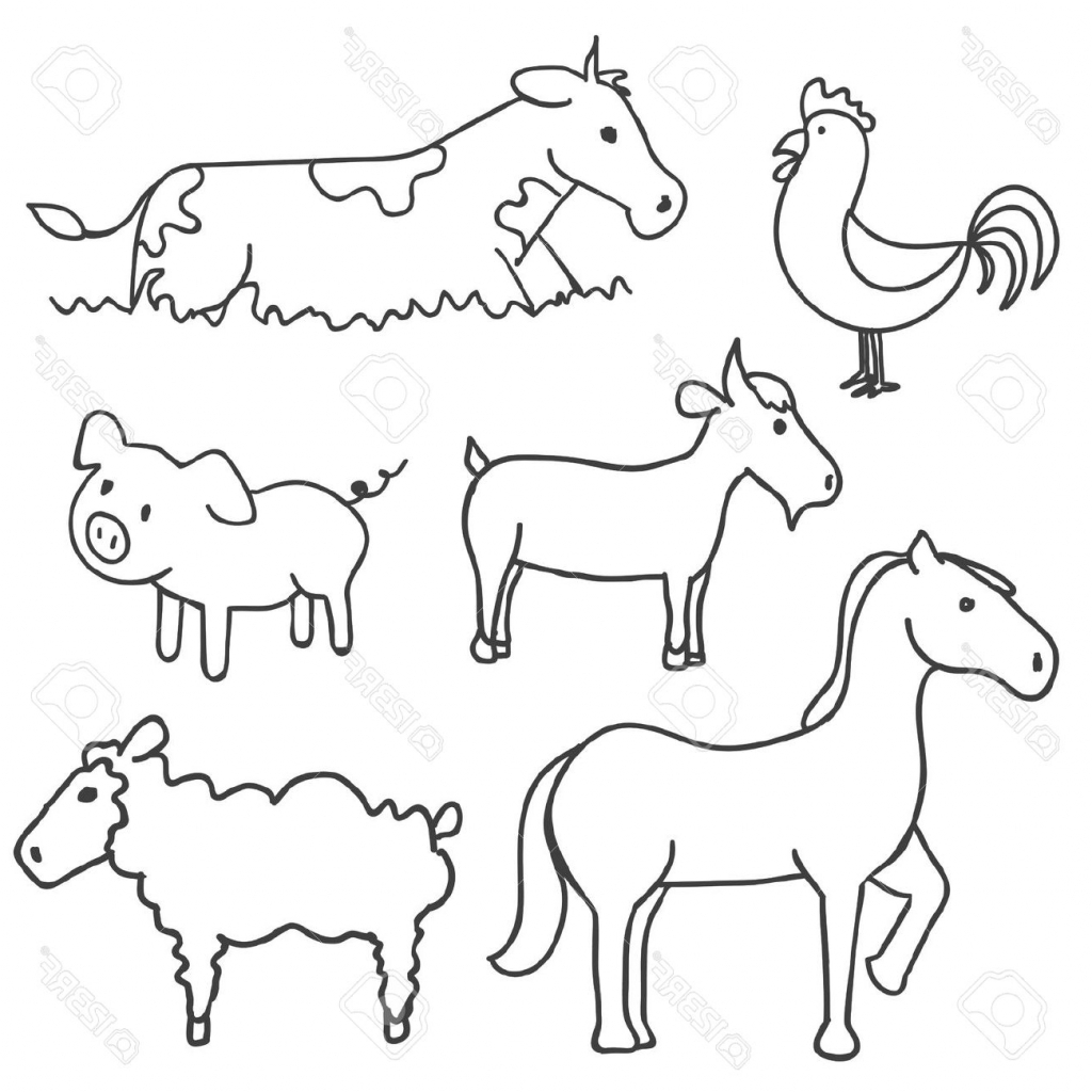 Farm Animals Drawing at GetDrawings | Free download