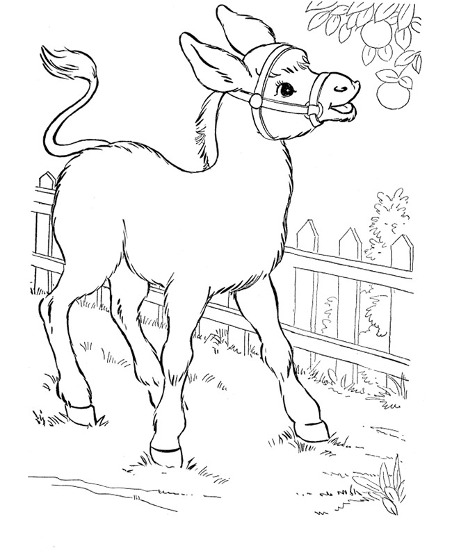 650x796 Farm Animal Template