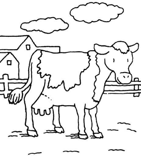 463x522 Coloring Cow Farm Picture