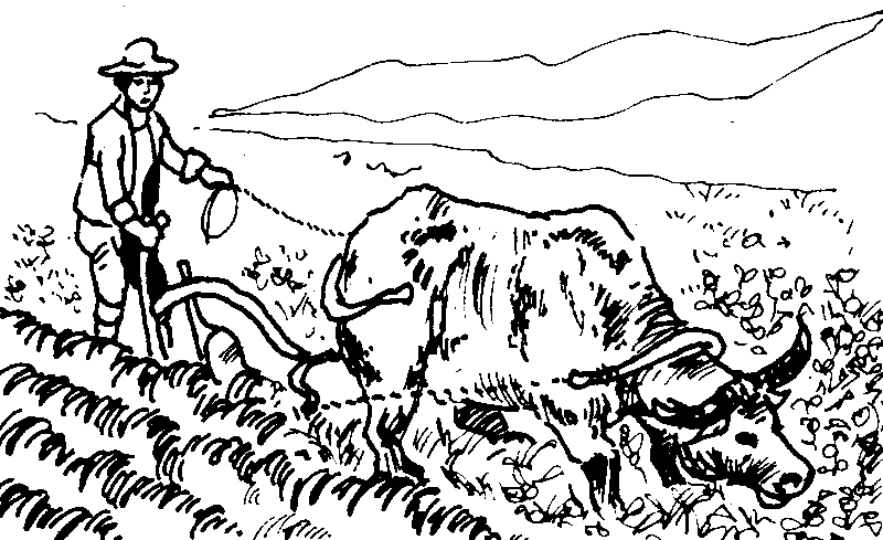 800x489 Farm Fields Clipart Black And White