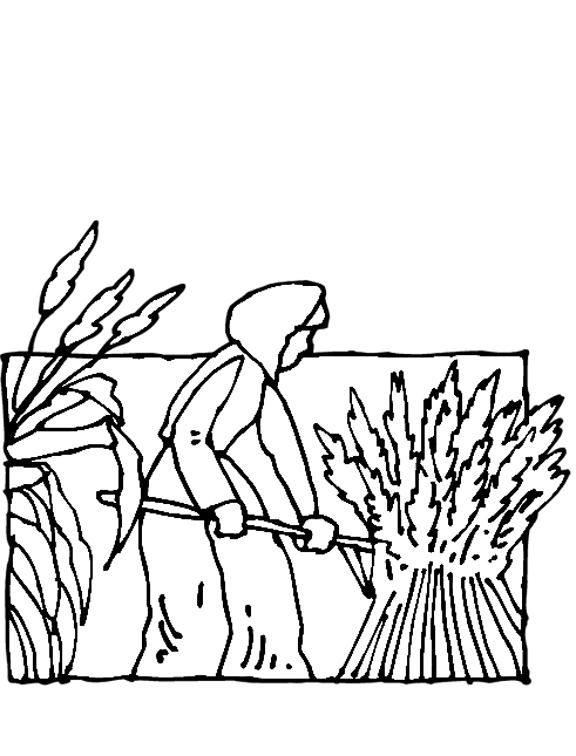 576x756 Field Coloring Pages