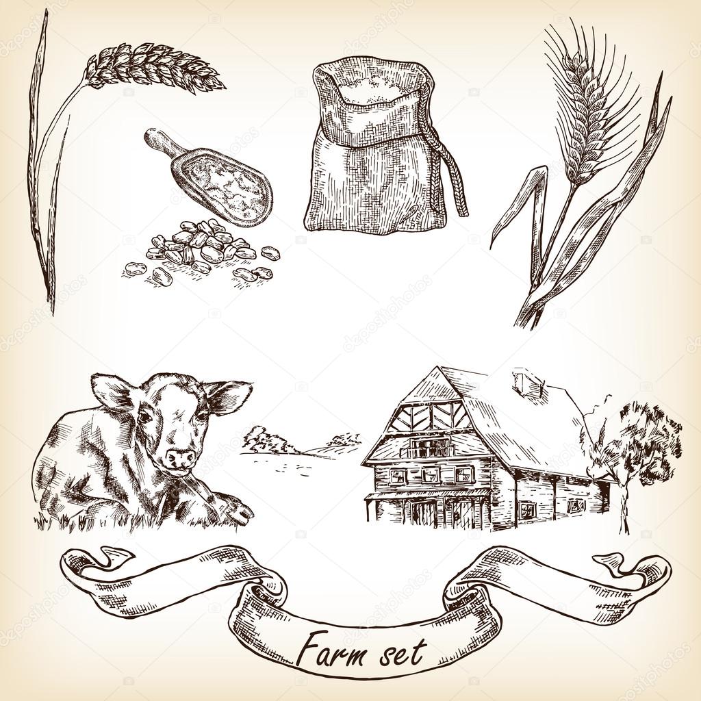 1024x1024 Cow, Farm House, Sack, Grain, Meal, Wheat. Vector Stock Vector