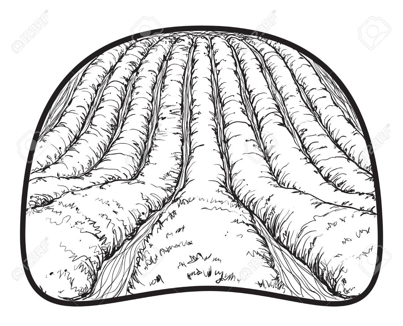 1300x1052 Farm Landscape Etch, Agriculture Scene. Hand Drawn Fields Royalty